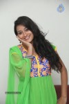 Bhanu Sri Stills - 95 of 100