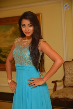 Bhanu Sri Stills - 25 of 30