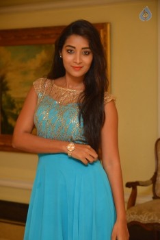 Bhanu Sri Stills - 28 of 30