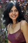 Bindu Madhavi Stills - 23 of 78