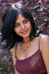 Bindu Madhavi Stills - 25 of 78