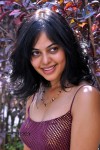 Bindu Madhavi Stills - 27 of 78