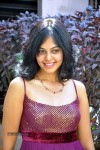 Bindu Madhavi Stills - 40 of 78