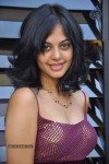 Bindu Madhavi Stills - 51 of 78