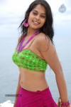 Bindu Madhavi Hot Pics - 61 of 69