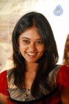 bindu-madhavi-least-photos-gallery