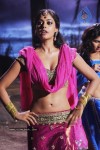 bindu-madhavi-new-photo-stills