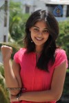 bindu-madhavi-photo-stills