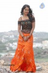 Bindu Madhavi Stills - 25 of 27