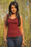 Catherine Tresa New Hot Stills - 65 of 93