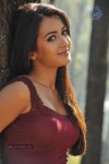 Catherine Tresa New Hot Stills - 82 of 93