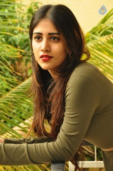 Chandini Chowdary New Photos - 15 of 34