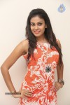 chandini-new-gallery