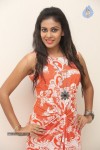 chandini-new-gallery