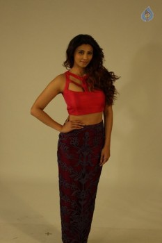 Daisy Shah Latest Photos - 14 of 20