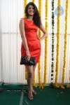 deeksha-gallery