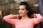 deeksha-panth-gallery