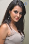 Deeksha Panth Hot Pics - 15 of 87
