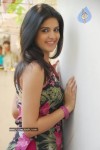 Deeksha Seth New Gallery - 34 of 64