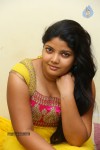 divya-new-gallery