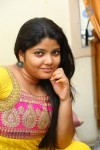 divya-new-gallery