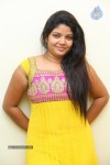 divya-new-gallery