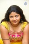 divya-new-gallery