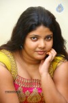 divya-new-gallery