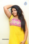 divya-new-gallery