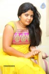 divya-new-gallery