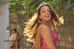 Ester Noronha New Stills - 9 of 56