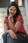 Gayatri Rao Stills - 47 of 55