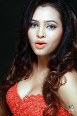 Geetha Shah PhotoShoot - 4 of 4