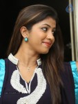 geethanjali-gallery