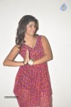 Geethanjali New Pics - 25 of 62