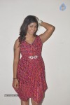 Geethanjali New Pics - 40 of 62