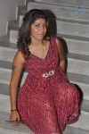 Geethanjali New Pics - 55 of 62