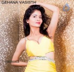 Gehana Vasisth New Pics - 32 of 44