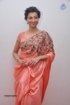 Hamsa Nandini Hot Stills - 26 of 33