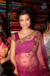 hamsa-nandini-hot-stills