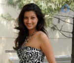 Hamsa Nandini New Stills - 13 of 42