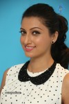 hamsa-nandini-pics