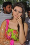 hansika-latest-gallery