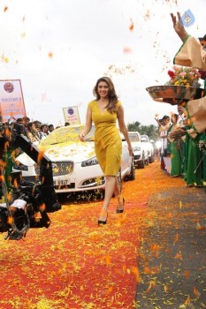 Hansika New Images - 38 of 62