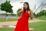 harika-new-gallery