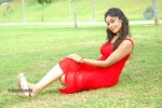 Harika New Gallery - 43 of 65