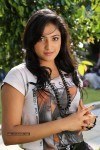 Haripriya Gallery - 21 of 88