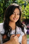 haripriya-gallery