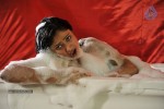 haripriya-latest-gallery