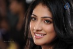 haripriya-stills-in-ee-varsham-sakshiga